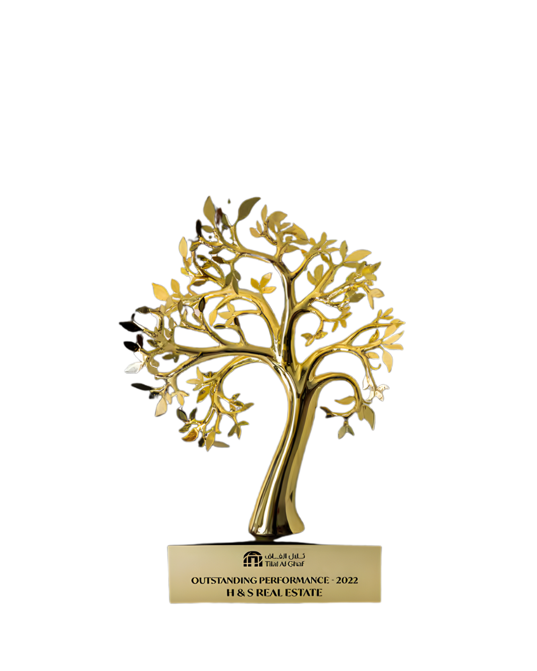 Outstanding Performance – 2022