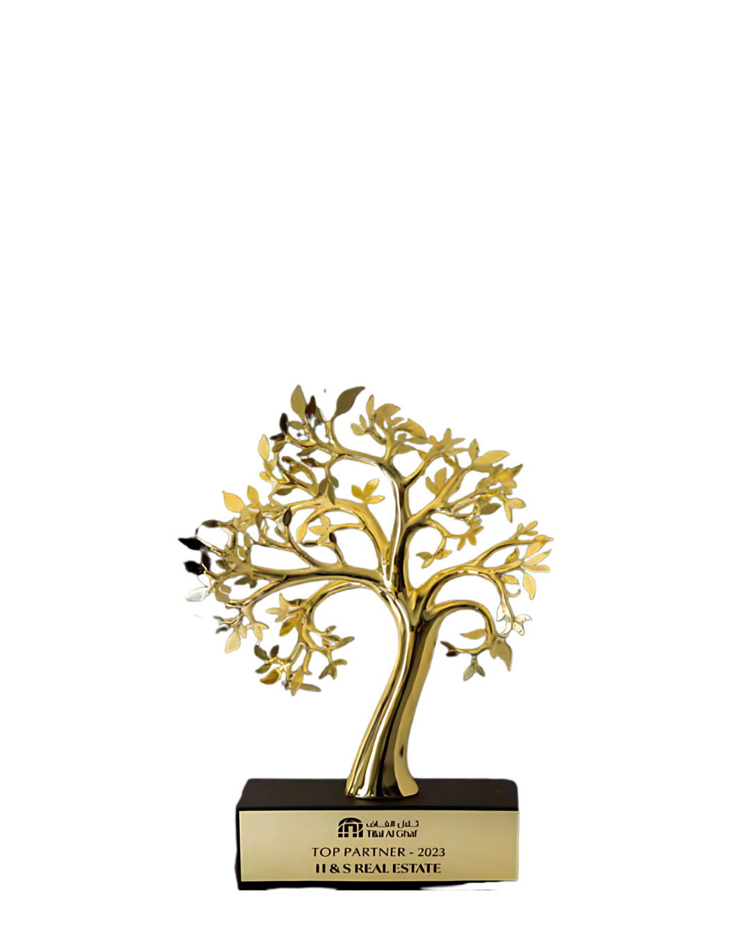 Top Performing Partner – 2023